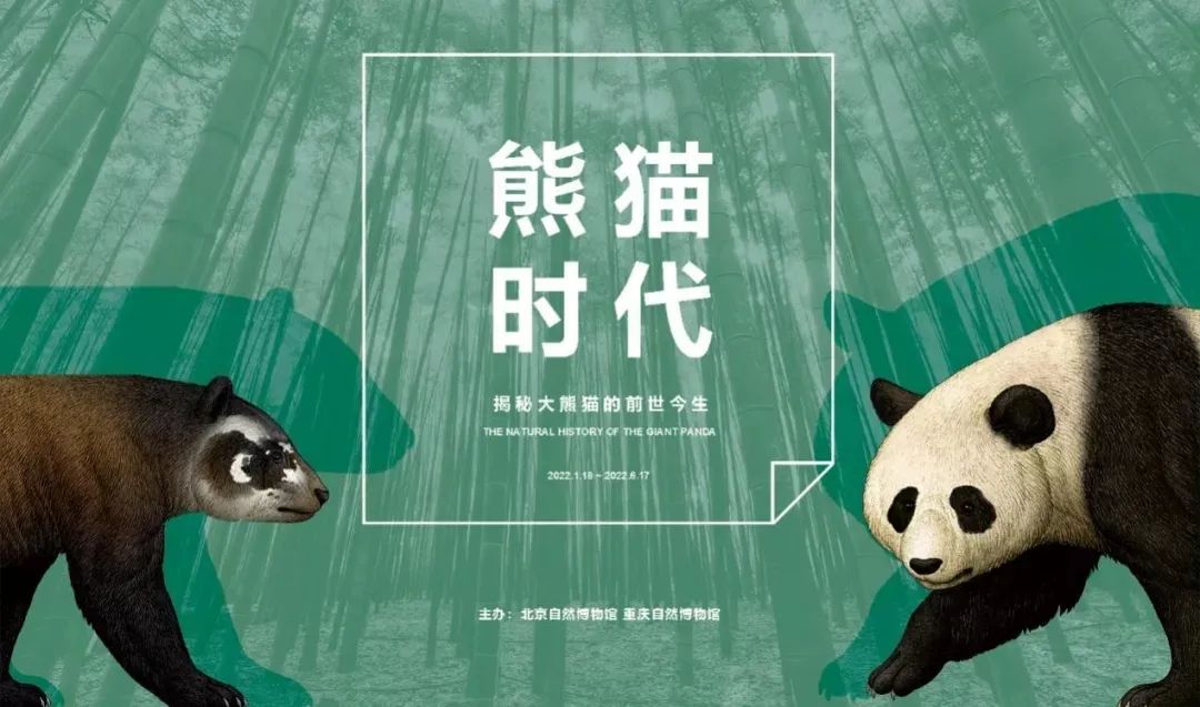 3月北京展訊丨最是一年春好處，最高人氣藝術(shù)大展等你去打卡...(圖10)